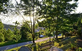 Bergweide 36